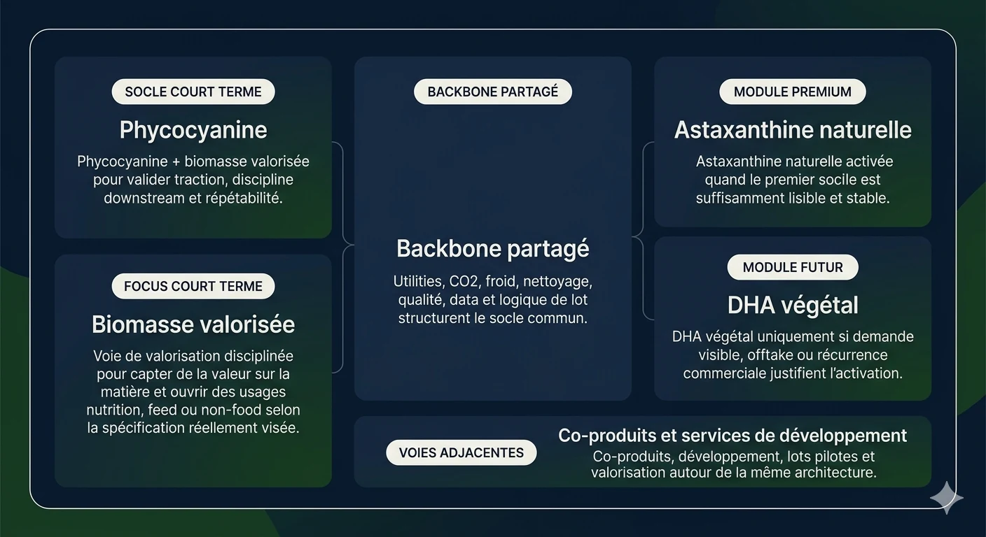 Schéma modulaire Azoris montrant le backbone partag?, la phycocyanine, la biomasse valorisée, l'astaxanthine naturelle, le DHA végétal et les voies adjacentes.